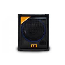 اکو اسپیکر روژان ۱۲ اینچ فلش مموری بلوتوث دو میکروفن اینورتر دار شارژی و برقی