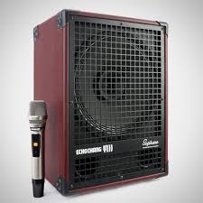اکوچنگ با میکروفن بیسیم