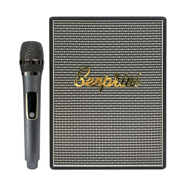 اکو همراه اکوچنگ آخرین و بهترین مدل اکو در ایران همراه میکروفن بیسیم مدل safari